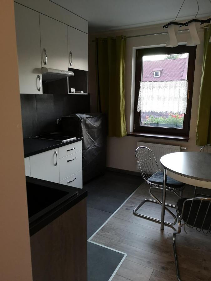 Apartamenty Jaskinia Solna Ruda Slaska Εξωτερικό φωτογραφία