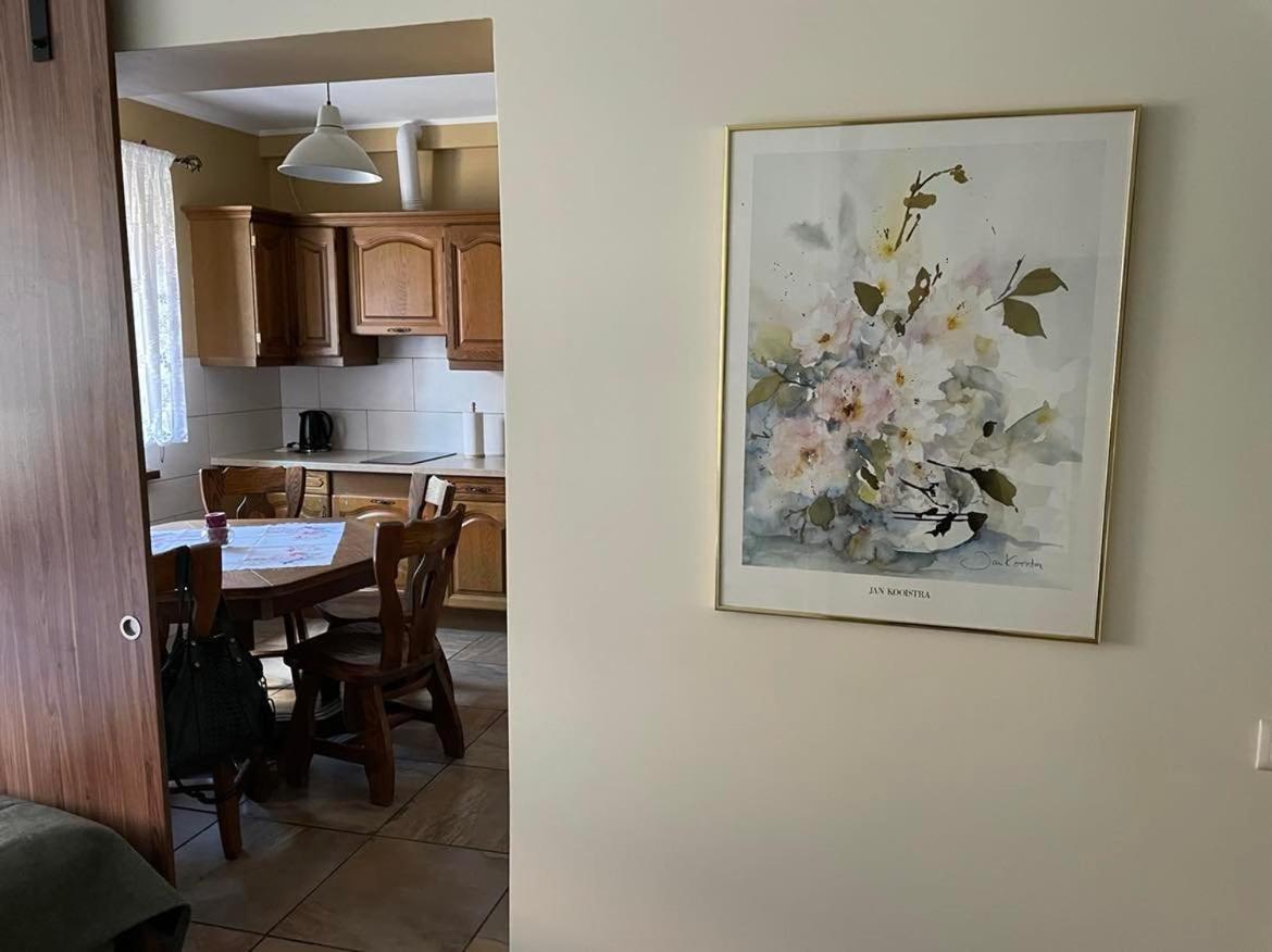 Apartamenty Jaskinia Solna Ruda Slaska Εξωτερικό φωτογραφία