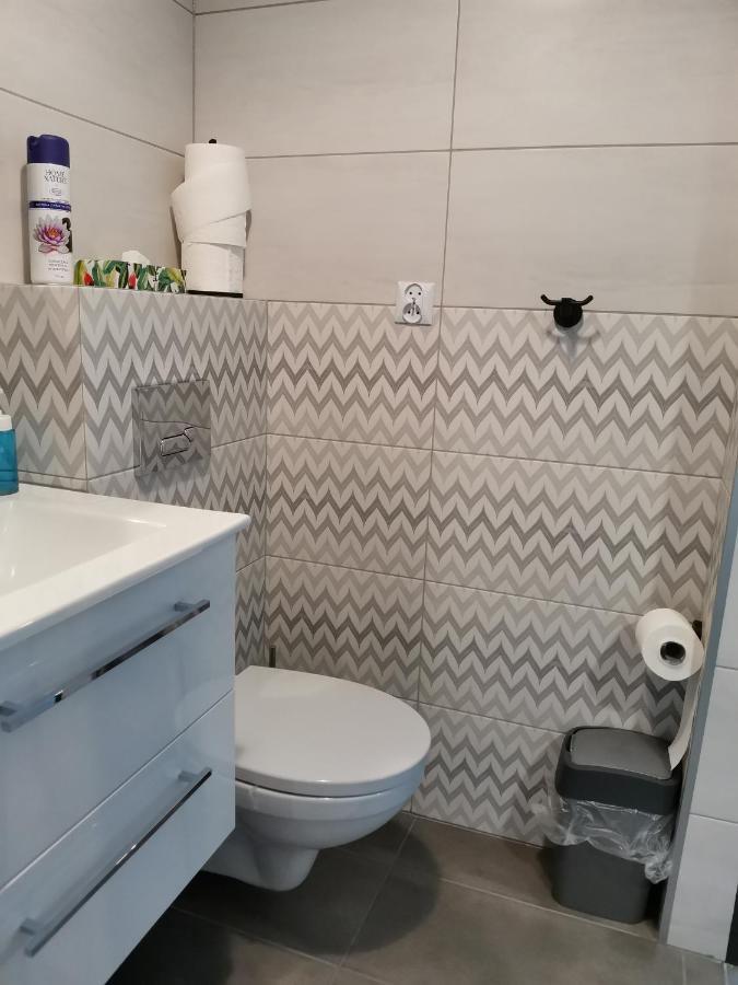 Apartamenty Jaskinia Solna Ruda Slaska Εξωτερικό φωτογραφία