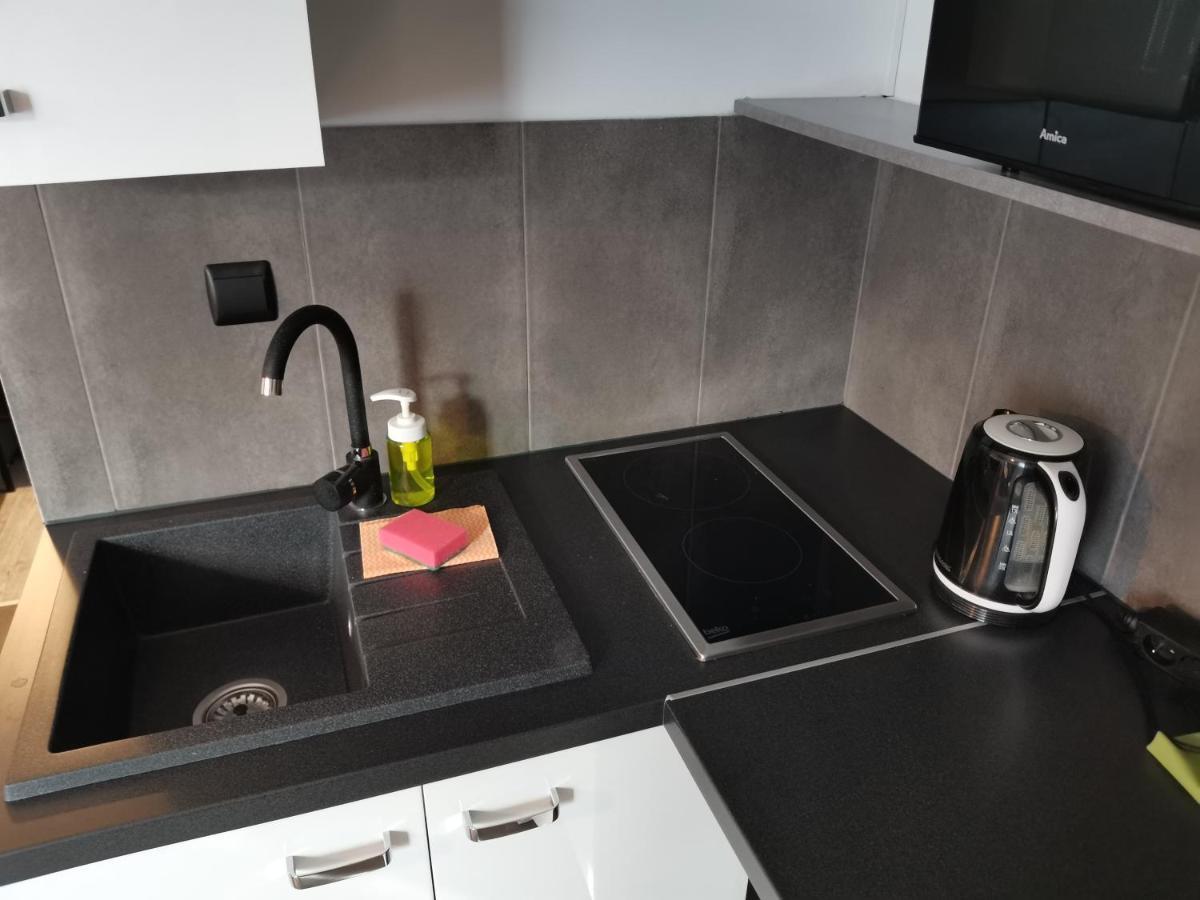 Apartamenty Jaskinia Solna Ruda Slaska Εξωτερικό φωτογραφία